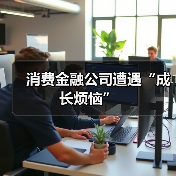 消费金融公司遭遇“成长烦恼”（图3）