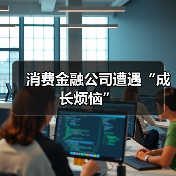 消费金融公司遭遇“成长烦恼”（图4）