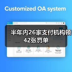 半年内26家支付机构领42张罚单