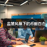 监管风暴下的币圈百态（图4）