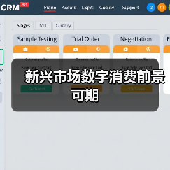 新兴市场数字消费前景可期（图3）