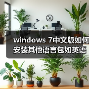 windows 7中文版如何安装其他语言包如英语语言包（图3）