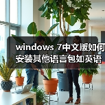 windows 7中文版如何安装其他语言包如英语语言包（图2）