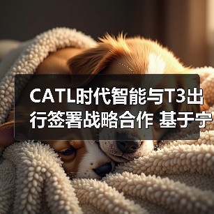 CATL时代智能与T3出行签署战略合作 基于宁德时代磐石底盘共推Robotaxi创新发展(图3) CATL时代智能与T3出行签署战略合作 基于宁德时代磐石底盘共推Robotaxi创新发展(图3)