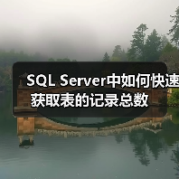 SQL Server中如何快速获取表的记录总数