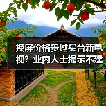 换屏价格贵过买台新电视?业内人士提示不建议数码产品大修(图3) 换屏价格贵过买台新电视?业内人士提示不建议数码产品大修(图3)
