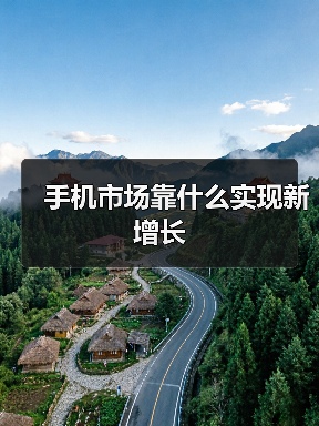 手机市场靠什么实现新增长(图2) 手机市场靠什么实现新增长(图2)