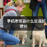 手机市场靠什么实现新增长(图2) 手机市场靠什么实现新增长(图2)