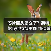 芯片巨头怎么了?英特尔股价持续重挫 市值蒸发超540亿元(图3) 芯片巨头怎么了?英特尔股价持续重挫 市值蒸发超540亿元(图3)