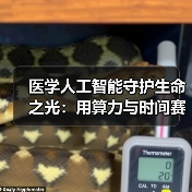医学人工智能守护生命之光：用算力与时间赛跑，推动医疗均质化（图3）