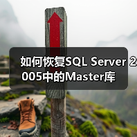 如何恢复SQL Server 2005中的Master库（图4）