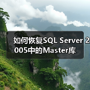 如何恢复SQL Server 2005中的Master库（图3）