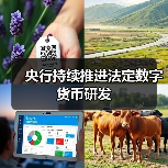 央行持续推进法定数字货币研发(图2) 央行持续推进法定数字货币研发(图2)