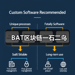 BAT区块链一石二鸟(图2) BAT区块链一石二鸟(图2)