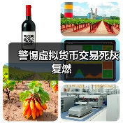 警惕虚拟货币交易死灰复燃(图2) 警惕虚拟货币交易死灰复燃(图2)