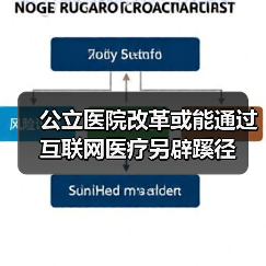 公立医院改革或能通过互联网医疗另辟蹊径（图4）