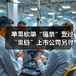 苹果砍单“链条”受过 “果链”上市公司另寻出路(图2) 苹果砍单“链条”受过 “果链”上市公司另寻出路(图2)