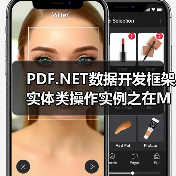 PDF.NET数据开发框架实体类操作实例之在MySQL中操作