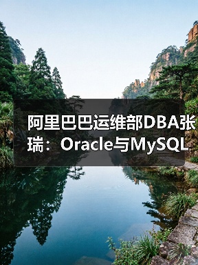 阿里巴巴运维部DBA张瑞：Oracle与MySQL搭档满足业务需求（图4）