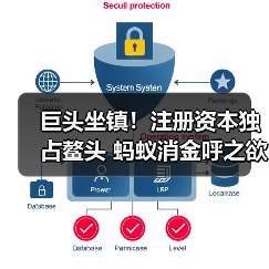 巨头坐镇!注册资本独占鳌头 蚂蚁消金呼之欲出(图4) 巨头坐镇!注册资本独占鳌头 蚂蚁消金呼之欲出(图4)