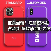 巨头坐镇!注册资本独占鳌头 蚂蚁消金呼之欲出(图3) 巨头坐镇!注册资本独占鳌头 蚂蚁消金呼之欲出(图3)