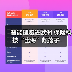 智能理赔进欧洲 保险科技“出海”频落子(图4) 智能理赔进欧洲 保险科技“出海”频落子(图4)