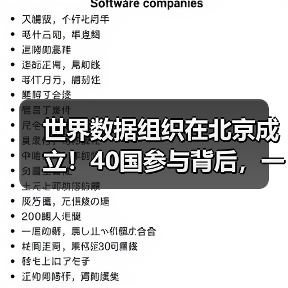 世界数据组织在北京成立!40国参与背后,一场数据主权革命(图4) 世界数据组织在北京成立!40国参与背后,一场数据主权革命(图4)