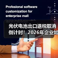 光伏电池出口退税取消倒计时！2026年企业如何绝地反击？（图3）