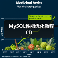 MySQL性能优化教程一(1)(图3) MySQL性能优化教程一(1)(图3)