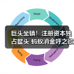 巨头坐镇！注册资本独占鳌头 蚂蚁消金呼之欲出（图4）