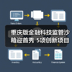 重庆版金融科技监管沙箱迎首秀 5项创新项目拟入箱(图2) 重庆版金融科技监管沙箱迎首秀 5项创新项目拟入箱(图2)