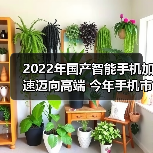 2022年国产智能手机加速迈向高端 今年手机市场有望复苏（图2）