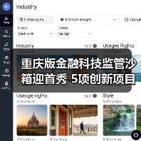 重庆版金融科技监管沙箱迎首秀 5项创新项目拟入箱（图4）