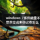 windows 7系统磁盘不显示变成未标记卷怎么办?(图1) windows 7系统磁盘不显示变成未标记卷怎么办?(图1)