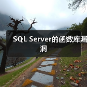 SQL Server的函数库漏洞(图1) SQL Server的函数库漏洞(图1)