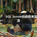 SQL Server的函数库漏洞(图3) SQL Server的函数库漏洞(图3)
