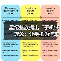 星纪魅族提出“手机域”理念:让手机为汽车智能化建设赋能(图1) 星纪魅族提出“手机域”理念:让手机为汽车智能化建设赋能(图1)