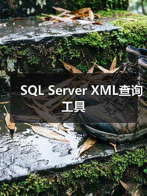 SQL Server XML查询工具(图4) SQL Server XML查询工具(图4)