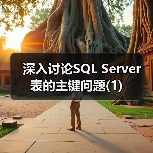 深入讨论SQL Server 表的主键问题(1)(图2) 深入讨论SQL Server 表的主键问题(1)(图2)