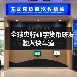 全球央行数字货币研发驶入快车道(图1) 全球央行数字货币研发驶入快车道(图1)