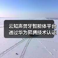 云知声兽牙智能体平台通过华为昇腾技术认证,AI实力再获认可(图3) 云知声兽牙智能体平台通过华为昇腾技术认证,AI实力再获认可(图3)