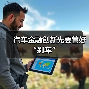 汽车金融创新先要管好“刹车”(图1) 汽车金融创新先要管好“刹车”(图1)