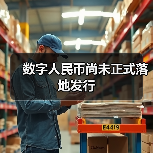数字人民币尚未正式落地发行(图2) 数字人民币尚未正式落地发行(图2)