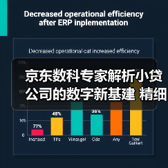 京东数科专家解析小贷公司的数字新基建 精细化运营是关键(图4) 京东数科专家解析小贷公司的数字新基建 精细化运营是关键(图4)