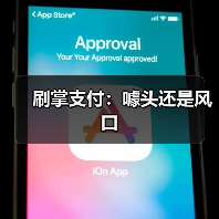 刷掌支付：噱头还是风口