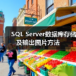 SQL Server数据库存储及输出图片方法(图3) SQL Server数据库存储及输出图片方法(图3)