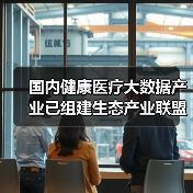 国内健康医疗大数据产业已组建生态产业联盟(图2) 国内健康医疗大数据产业已组建生态产业联盟(图2)