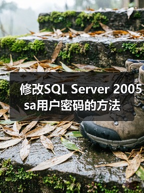 修改SQL Server 2005 sa用户密码的方法（图4）
