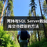两种与SQL Server数据库交换数据的方法(图4) 两种与SQL Server数据库交换数据的方法(图4)