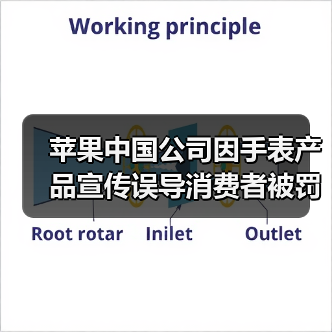 苹果中国公司因手表产品宣传误导消费者被罚10万元（图2）